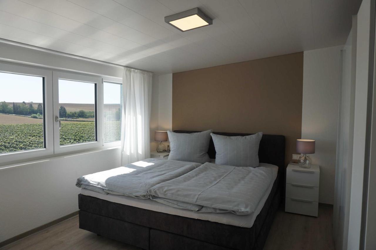 Weingut Schaaf Apartment Lauffen am Neckar Ngoại thất bức ảnh